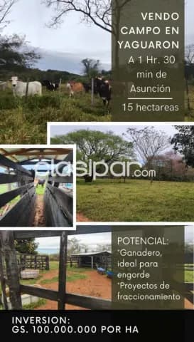 Yaguarón, paraguarí: 15 has, p/ emplotacion ganadera, bosques mixtos, etc — foto 2