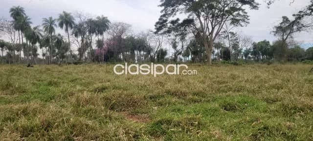 Yaguarón, paraguarí: 15 has, p/ emplotacion ganadera, bosques mixtos, etc — foto 4