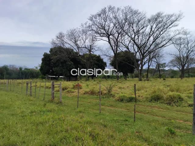 Yaguarón, paraguarí: 15 has, p/ emplotacion ganadera, bosques mixtos, etc — foto 5