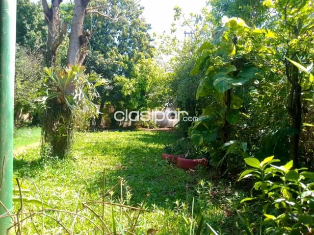 Terreno con casita Presidente Franco, foto 3