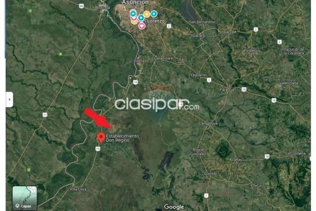 3.609 HA. En la Ruta Villeta a Alberdi, foto 3