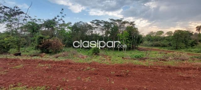 1 hectárea y media loteadas en el barrio san nicolás de san juan del paraná
