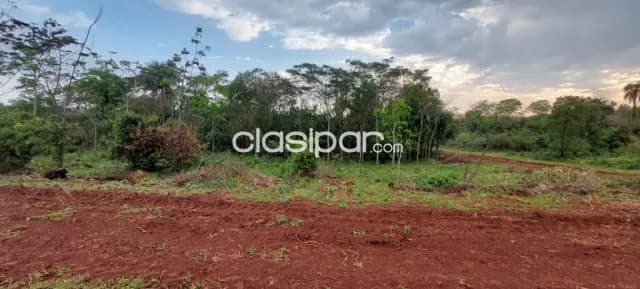 1 hectárea y media loteadas en el barrio san nicolás de san juan del paraná, foto 2