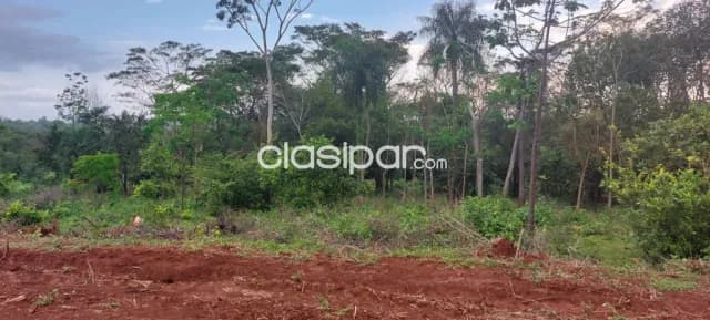 1 hectárea y media loteadas en el barrio san nicolás de san juan del paraná, foto 3