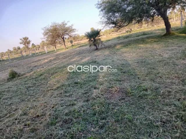 2 terrenos juntos en Falcón, foto 3