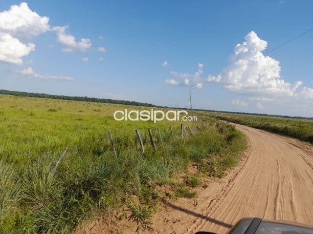 Propiedad de 480 Has en Caazapá, Zona San Juan Nepomuceno - CLCS7387261