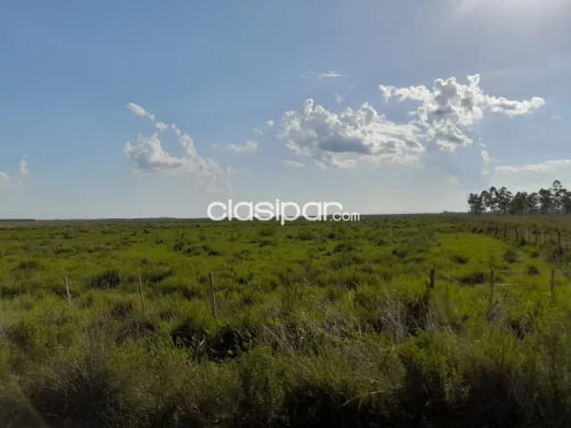 Propiedad de 480 Has en Caazapá, Zona San Juan Nepomuceno - CLCS7387261, foto 3