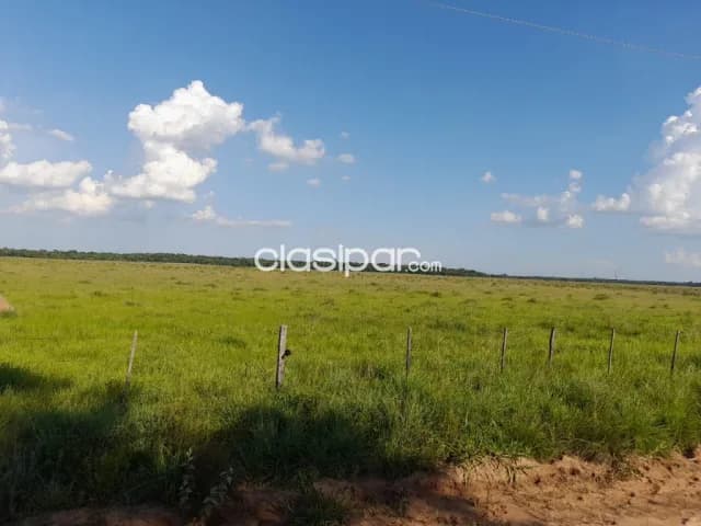 Propiedad de 480 Has en Caazapá, Zona San Juan Nepomuceno - CLCS7387261, foto 5