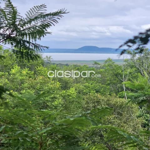 5,5 ha. Propiedad en San Bernardino - compañia matiauda, foto 2