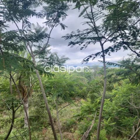 5,5 ha. Propiedad en San Bernardino - compañia matiauda, foto 4