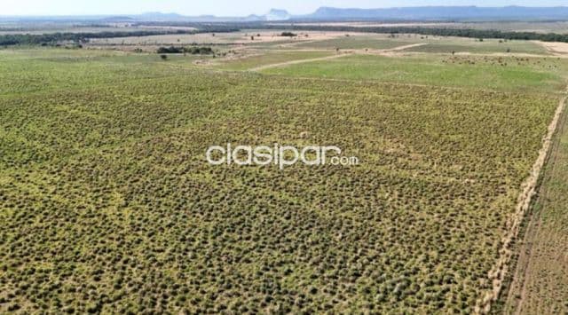 Estancia de 723 Hectáreas en Paraguarí - CLCS7389800, foto 1