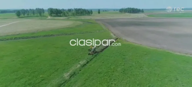 Propiedad Rural de 647 Hectáreas en Caazapá - CLCS7391202, foto 5