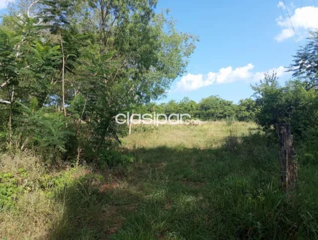 Propiedad de 6,5 Hectáreas, Con Arroyo en Piribebuy - LLA7391873 — foto 3