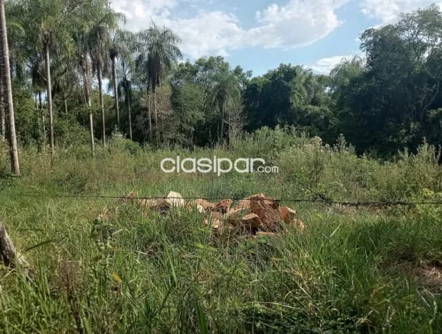 Propiedad de 6,5 Hectáreas, Con Arroyo en Piribebuy - LLA7391873 — foto 5