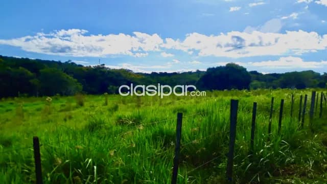 Granja Ganadera en Coronel Oviedo - 17 Ha — foto 2