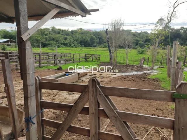 Granja Ganadera en Coronel Oviedo - 17 Ha — foto 3