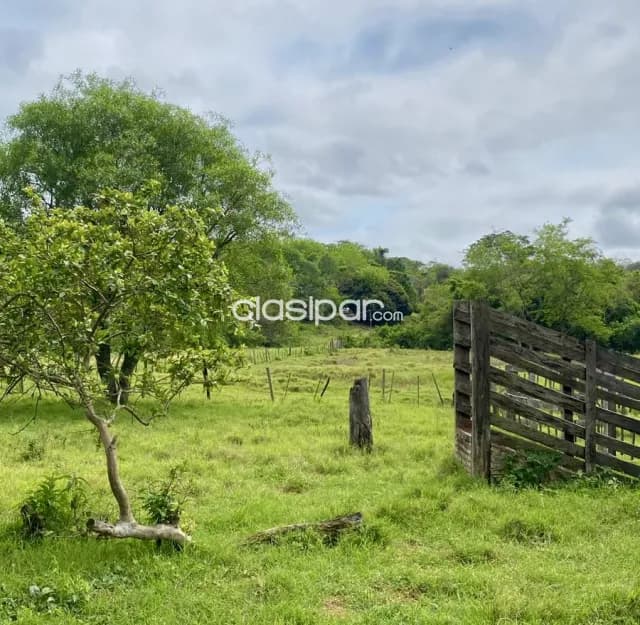 Granja Ganadera en Coronel Oviedo - 17 Ha — foto 4
