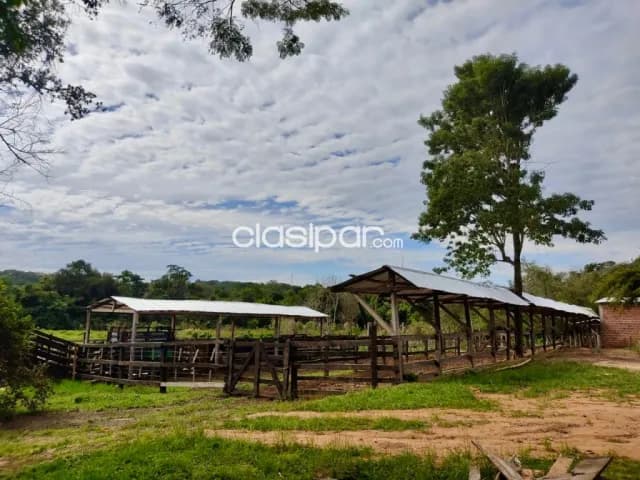 Granja Ganadera en Coronel Oviedo - 17 Ha — foto 5