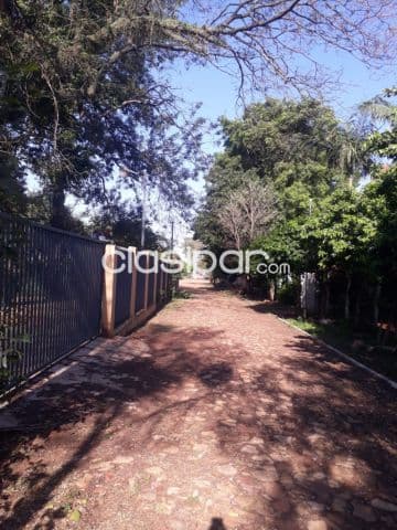 amplio terreno 3.100 m² en Moracue – Luque, a 100 m de la ruta asfaltada