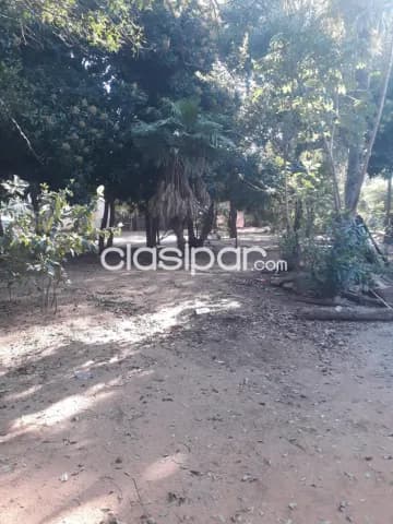 amplio terreno 3.100 m² en Moracue – Luque, a 100 m de la ruta asfaltada — foto 3