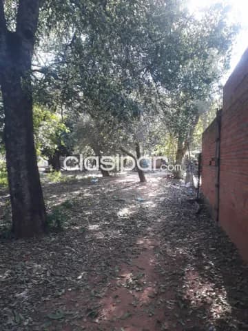 amplio terreno 3.100 m² en Moracue – Luque, a 100 m de la ruta asfaltada — foto 4