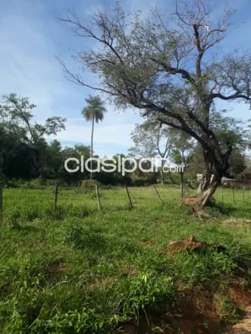 terrenos en esq.| 1.350 m² |sobre ruta Limpio a Luque — foto 2