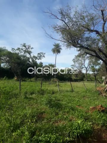 terrenos en esq.| 1.350 m² |sobre ruta Limpio a Luque — foto 3