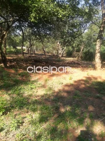 terreno 12x30 m en Itá Anguá – Luque — foto 5