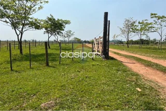 Finca agricola con 124 hectareas en tobati — foto 3