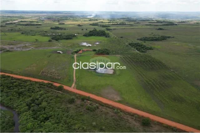 Finca agricola con 124 hectareas en tobati — foto 5