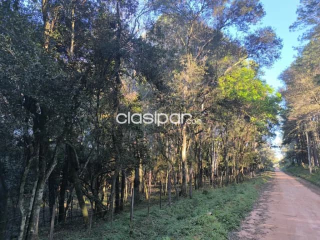 De terreno en eusebio ayala - oportunidad unica de inversion, foto 2