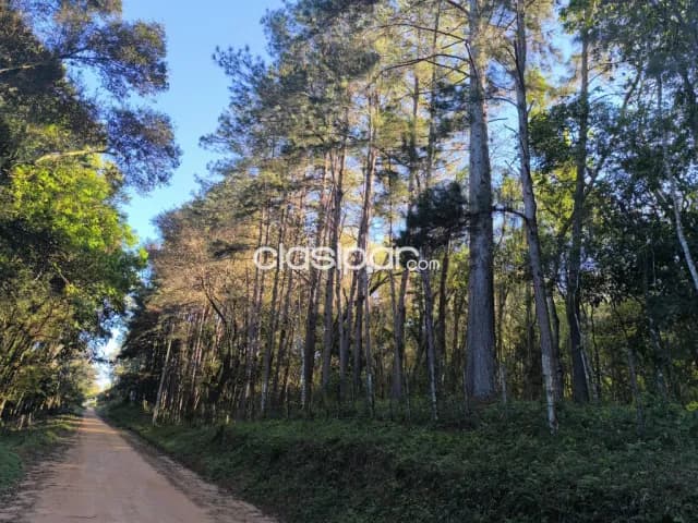 De terreno en eusebio ayala - oportunidad unica de inversion, foto 3