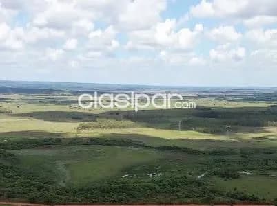 En tobati 124 hectareas — foto 3