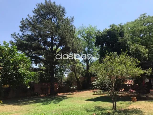 Terreno en lambare para logistica o barrio cerrado, foto 5