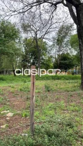 En alquiler terreno en San Bernardino id 40618 — foto 2