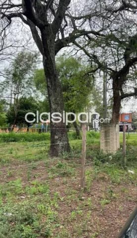 En alquiler terreno en San Bernardino id 40618 — foto 3