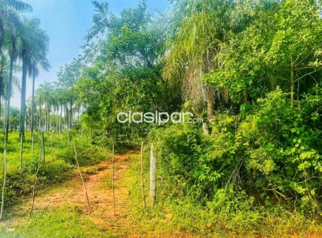 Terreno de 4.9 há en piribebuy, zona fortin (ruta de la caña) — foto 3