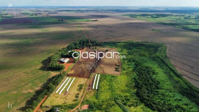 4.693 has. en Nueva Durango – Canindeyu, foto 1