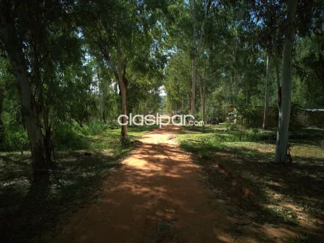 Terreno en San Bernardino - parque residencial florentina — foto 4