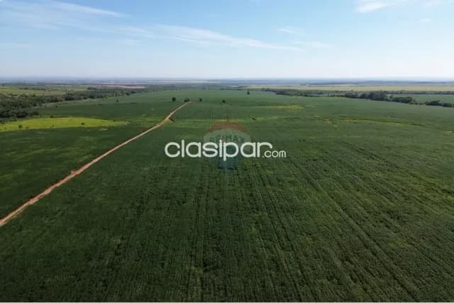 Estancia agropecuaria 10.019 hectareas en caaguazu-simon bolivar c/ pista aterrisaje — foto 5