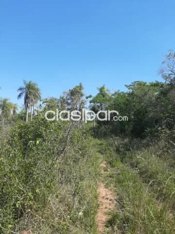 Oferta de 2 ha.entre Samber,Emboscada y Nueva Colombia — foto 2