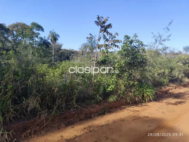 Oferta de 2 ha.entre Samber,Emboscada y Nueva Colombia — foto 5