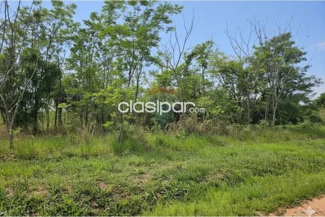 Terreno en surubi i, foto 4