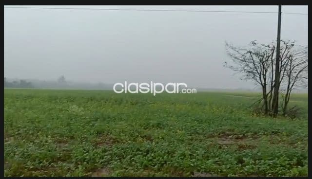 Campo en minga guazu