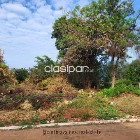 En venta 1 hectarea en Luque- detras de rakiura — foto 3