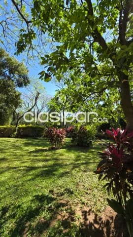 Casa de 1.050 m2 en el Centro de San Bernardino - LHO7414208 — foto 4