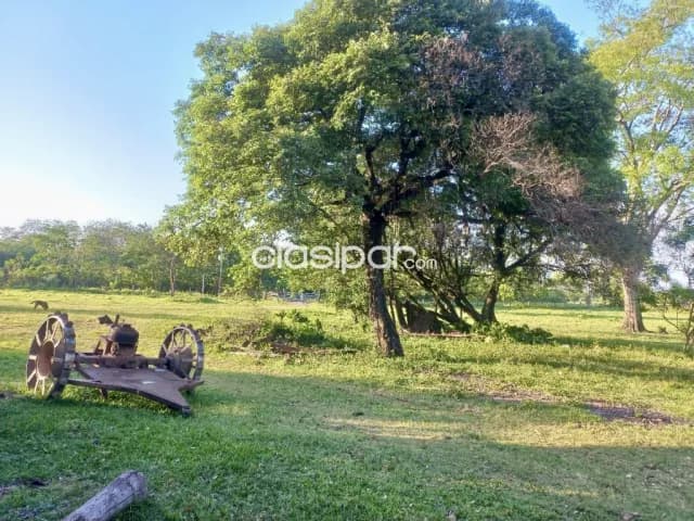 Campo Agrícola/Ganadero en Cecilio Baez sobre Ruta - 200 Ha — foto 2