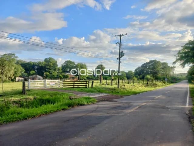 Campo Agrícola/Ganadero en Cecilio Baez sobre Ruta - 200 Ha — foto 5