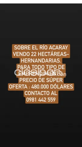 22 hectáreas costa sobre el río acaray-ciudad de hernandarias, foto 2