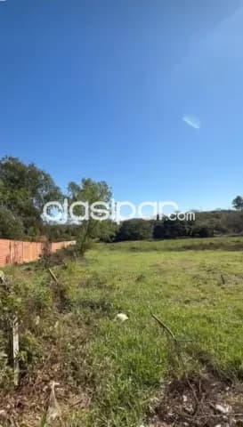 Amplia propiedad de 6.235 m2 sobre ruta Paso de Oro, Ypané — foto 5
